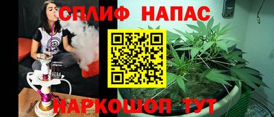 стаф Бузулук