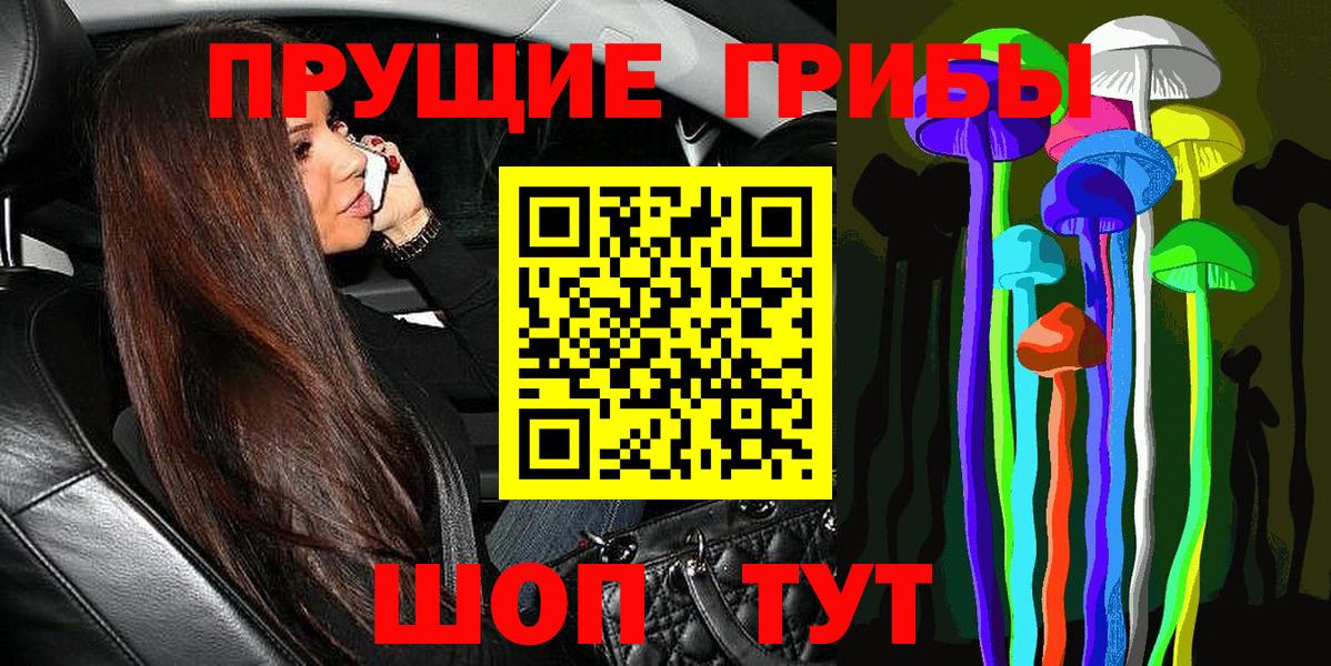 Псилоцибиновые грибы GOLDEN TEACHER Новочебоксарск