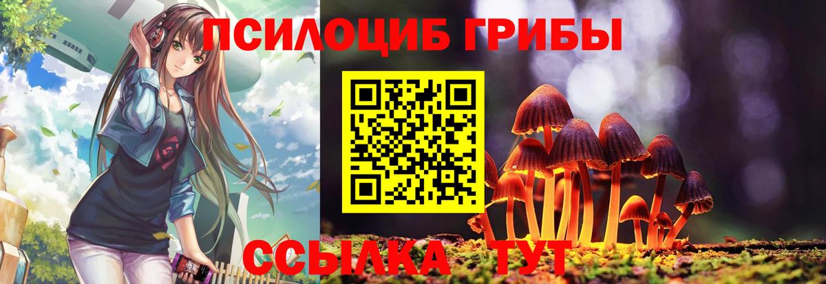 Новочебоксарск  Галлюциногенные грибы GOLDEN TEACHER  Вход с VPN 