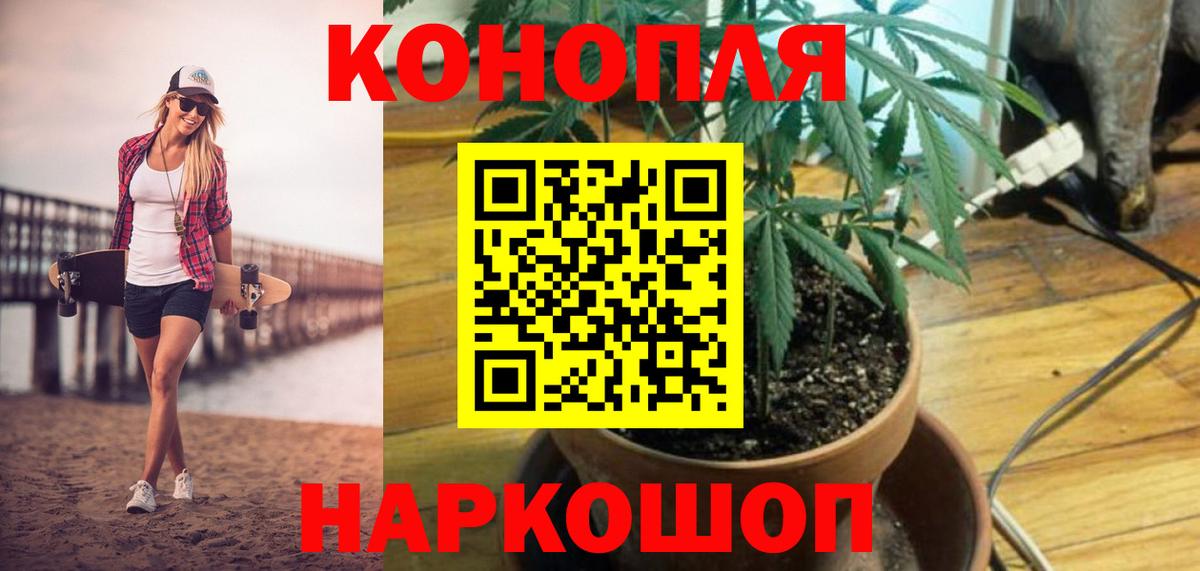 Конопля White Widow  Канабис Amnesia  Канабис OG Kush  Бошки марихуана марихуана  Новочебоксарск  Вход с VPN 